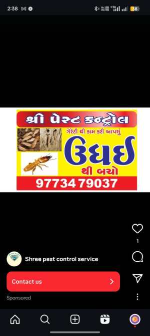 ઉધઈ ની દવા છાંટી આપી શુ - રાજકોટ