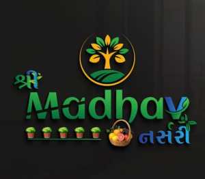 ગાર્ડન ડેવલોપમેન્ટ પાર્ટી પ્લોટ બગીચા બનાવી આપશુ