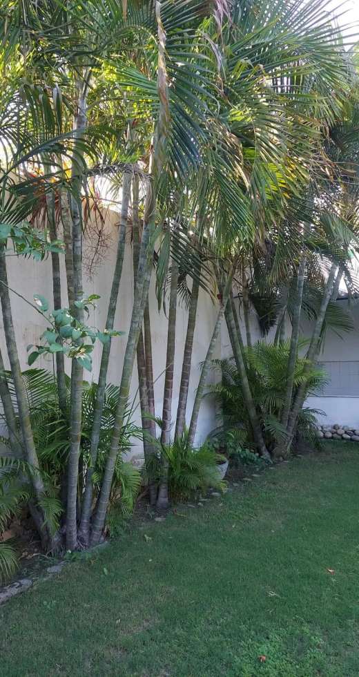 Go Green Garden