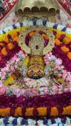 શ્રીજી બ્રિકસ નો પ્રોફાઇલ ફોટો