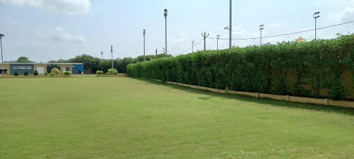 All Garden sarvice