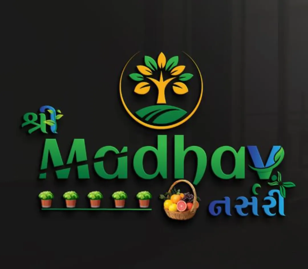 ગાર્ડન ડેવલોપમેન્ટ પાર્ટી પ્લોટ બગીચા બનાવી આપશુ